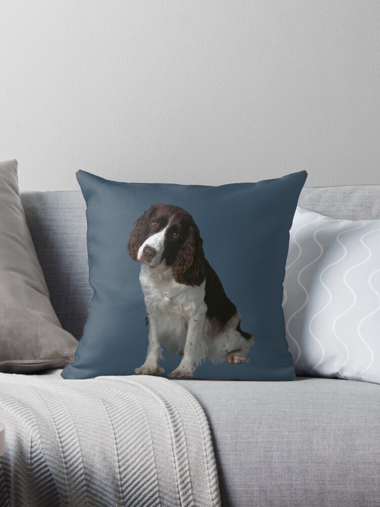springer spaniel cushions