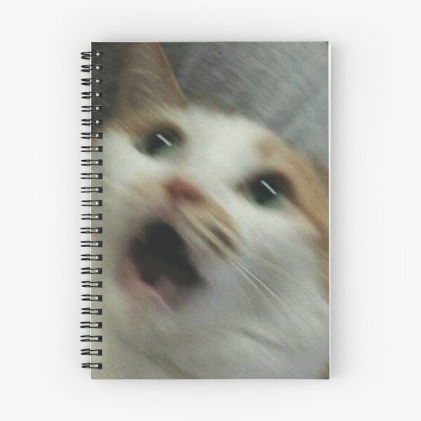 Item preview, Scared cat meme designed and sold by Mariascientist.