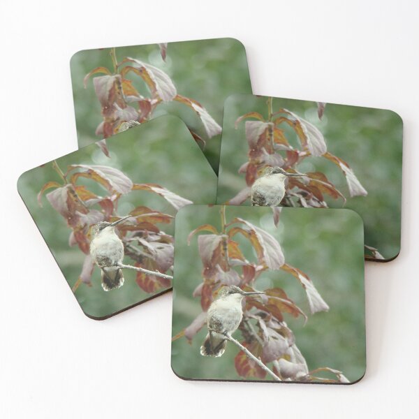 Item preview, Perched designed and sold by AGODIPhoto.