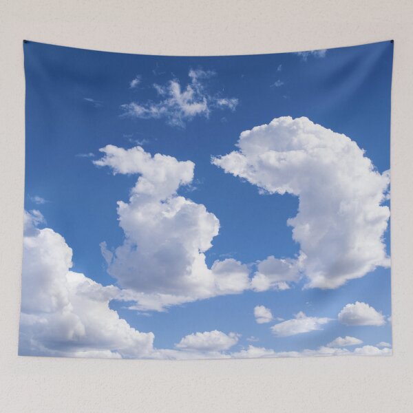 Item preview.