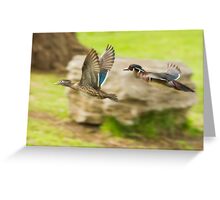 ducks unlimited stationery greeting cards