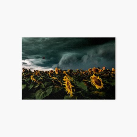 Item preview, Summer Storm Over Sunflowers designed and sold by thestormworks.