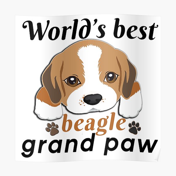 Download Beagle Grandpa Posters Redbubble