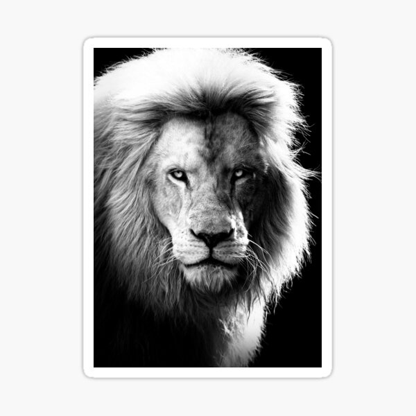 "lion king black dreame look face artwork print wallpaper " Sticker for