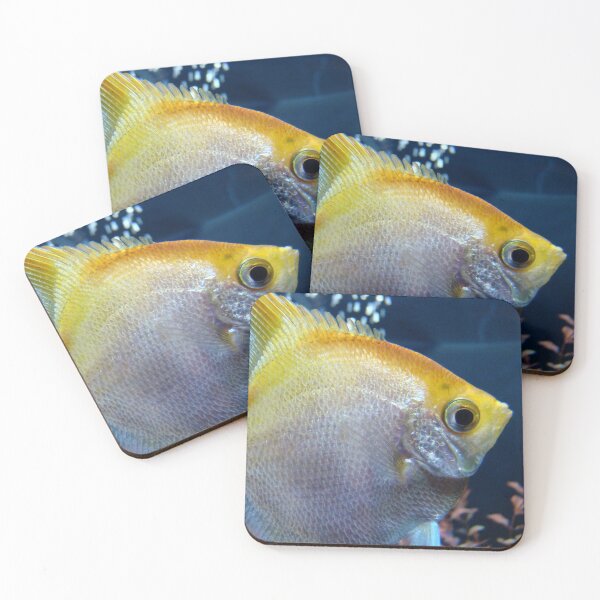 Item preview, Shiny designed and sold by AGODIPhoto.