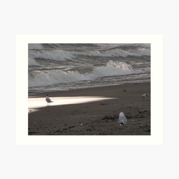 Lake Erie, Erieau by Elisabeth and Barry King™ Art Print