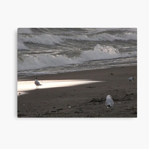 Lake Erie, Erieau by Elisabeth and Barry King™ Canvas Print