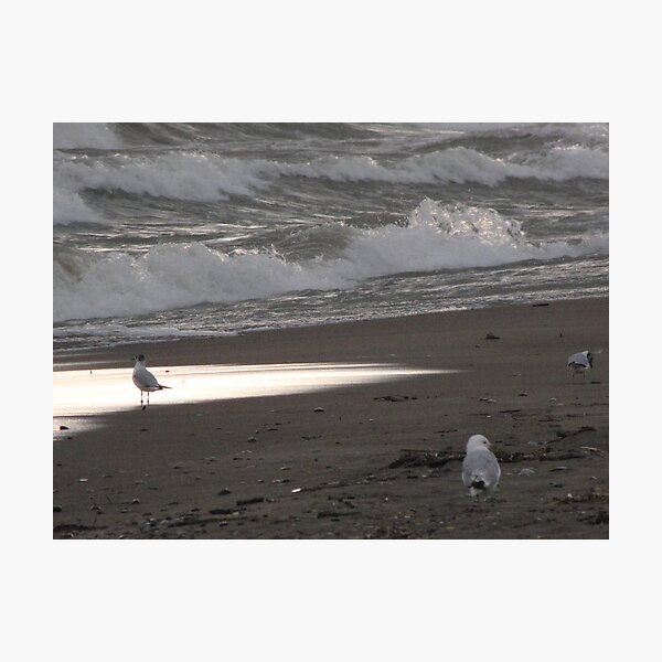 Lake Erie, Erieau by Elisabeth and Barry King™ Photographic Print