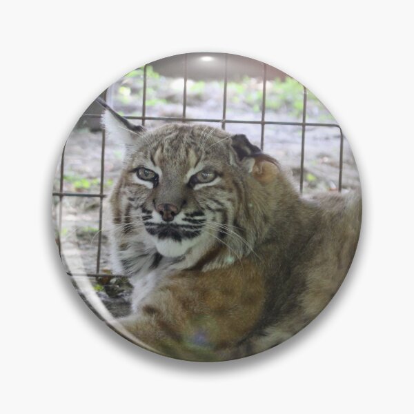 Item preview, Tarzan the Bobcat designed and sold by AmurUncia.