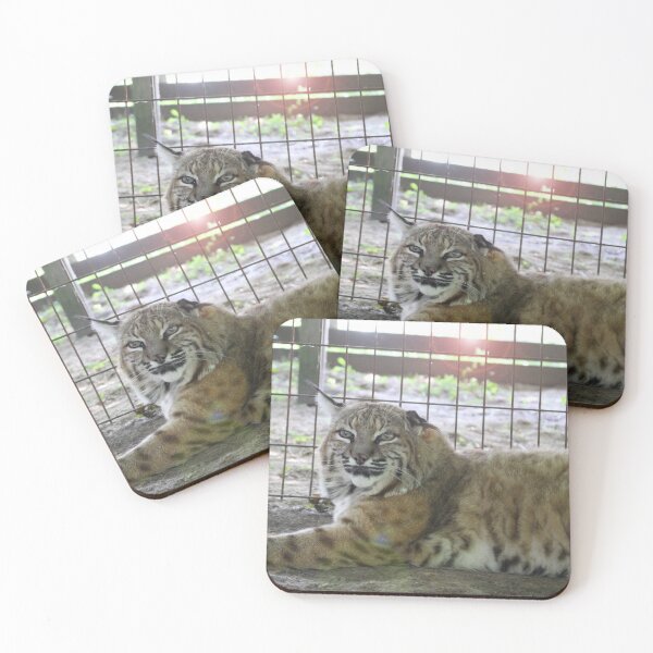 Item preview, Tarzan the Bobcat designed and sold by AmurUncia.