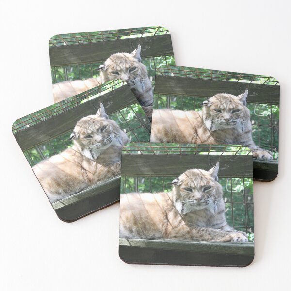 Item preview, Brady the Bobcat designed and sold by AmurUncia.