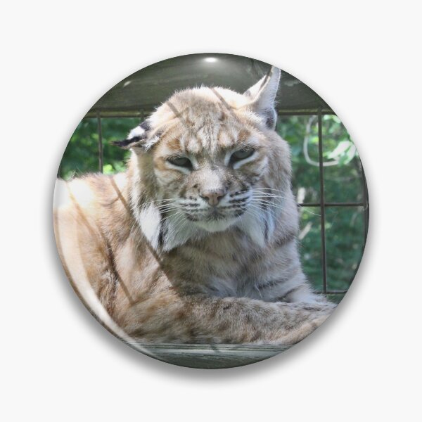 Item preview, Brady the Bobcat designed and sold by AmurUncia.