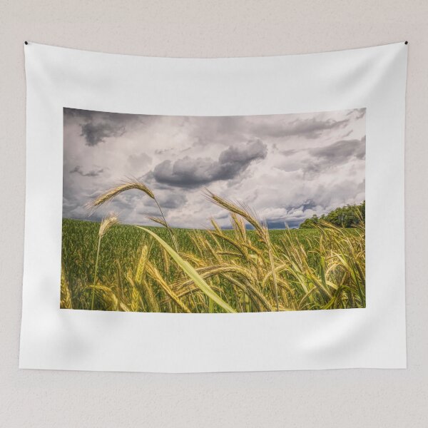 Item preview, Storm Warning designed and sold by Jim Love.