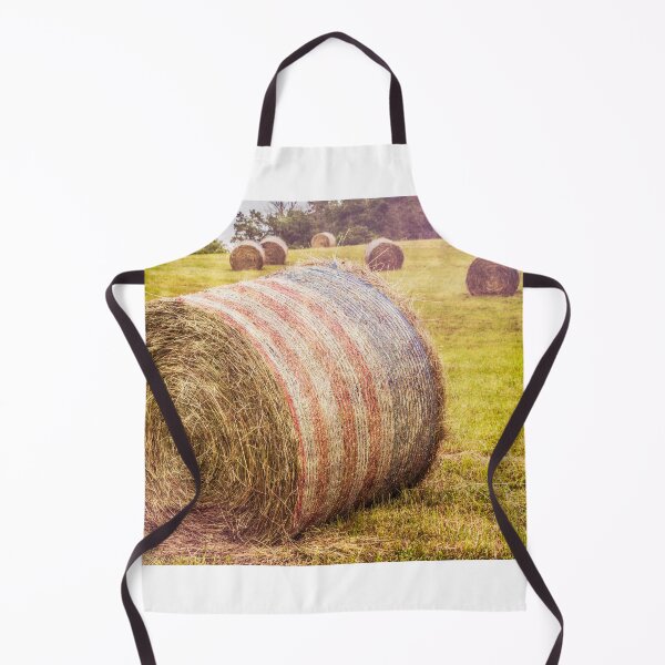 Item preview, Hayed In America designed and sold by Jim Love.