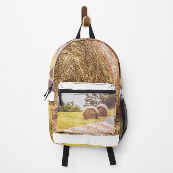 Item preview, Hayed In America designed and sold by Jim Love.