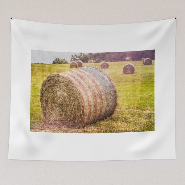 Item preview, Hayed In America designed and sold by Jim Love.