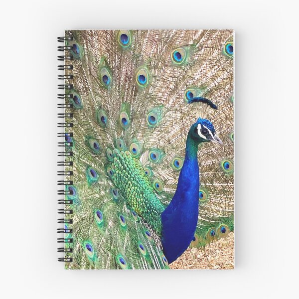 Item preview, Dwayne the peacock designed and sold by Diannewalking.