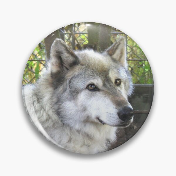 Item preview, Shadow the Wolf designed and sold by AmurUncia.