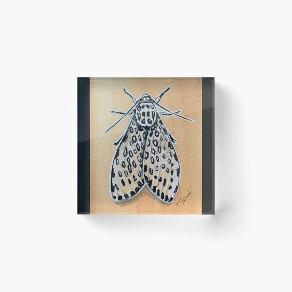 Item preview, Giant Leopard Moth designed and sold by Kristin (Thornton) Barker.