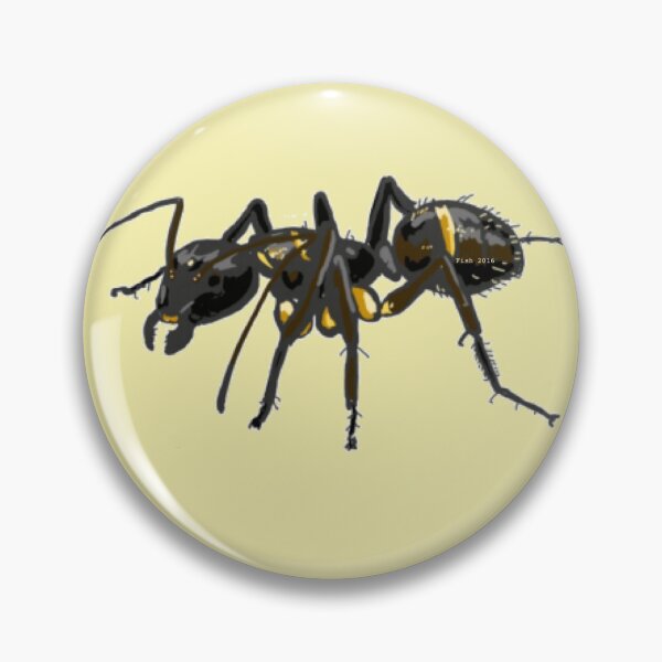 Item preview, Formicidae - Camponotus americanus designed and sold by PrettyPolistes.