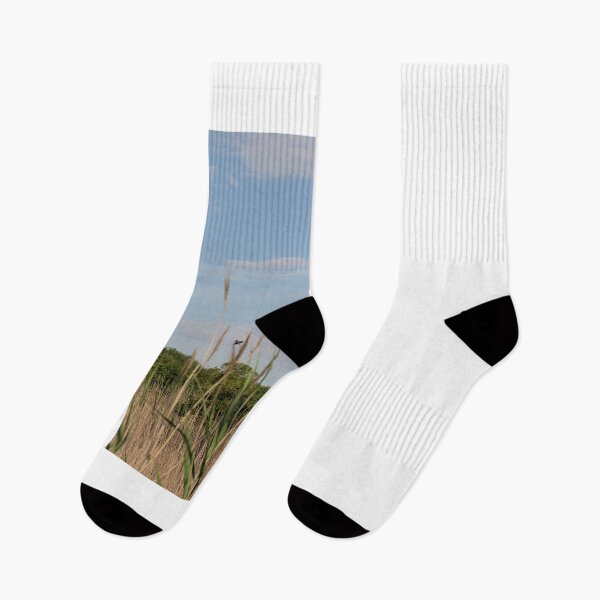Item preview, Cape May Lighthouse through the Reeds designed and sold by Kim McClain Gregal.