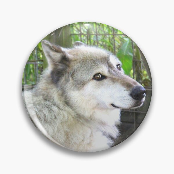 Item preview, Shadow the Wolf designed and sold by AmurUncia.
