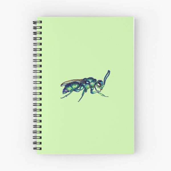 Item preview, Chrysididae - Chrysis cessata designed and sold by PrettyPolistes.