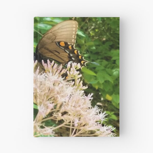 Artikelvorschau, Mehrfarbige Schmetterlinge entworfen und verkauft von fourleafphotos.