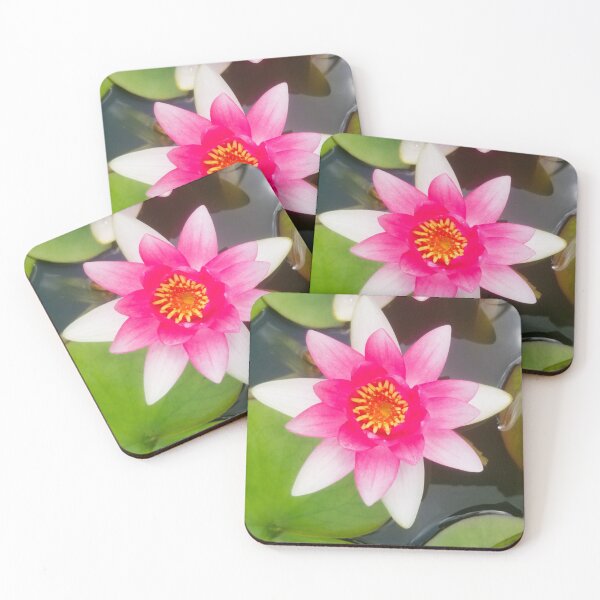 Item preview, Lotus flower in pond designed and sold by fourleafphotos.