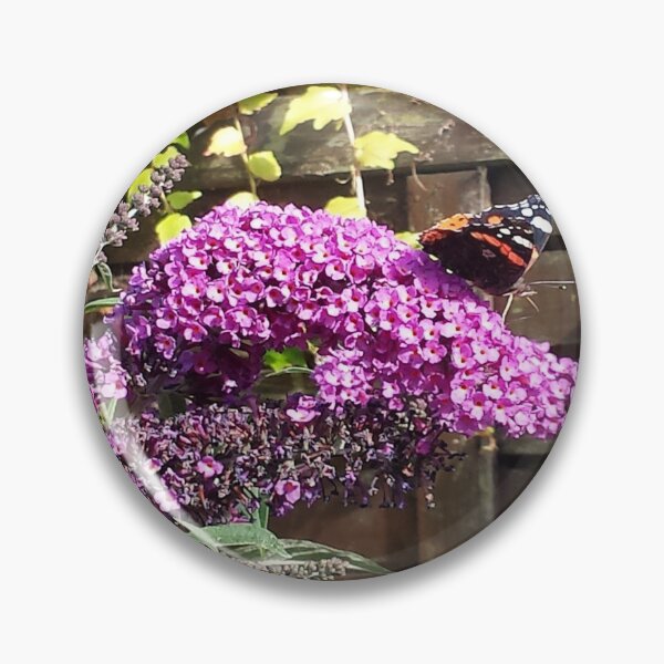 Item preview, butterflybush in summer designed and sold by RickTellon.