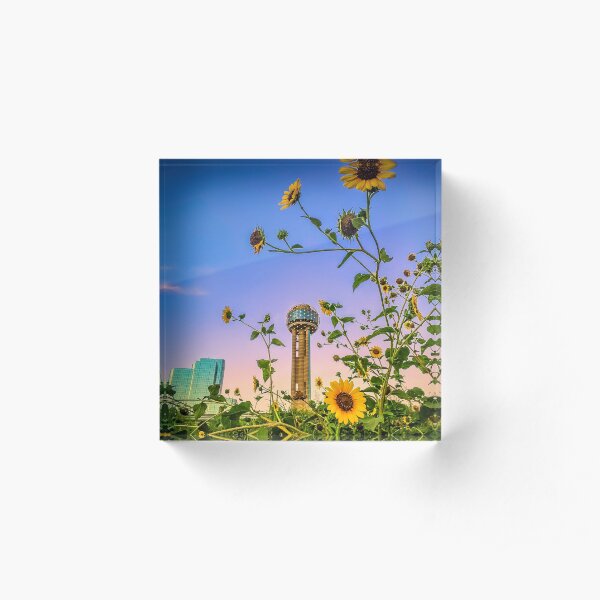 Sunflowers and the Reunion Tower Acrylic Block