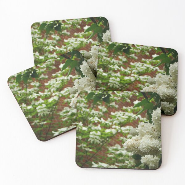 Item preview, White Upon Brick designed and sold by AGODIPhoto.