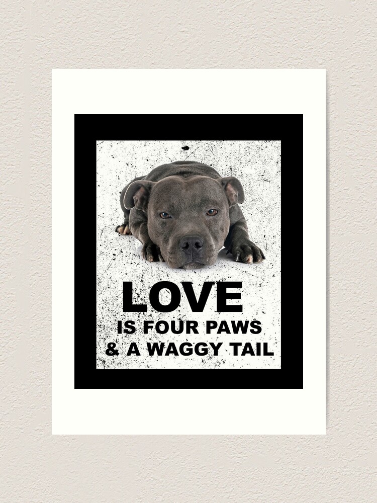 Presents for 2025 staffie lover