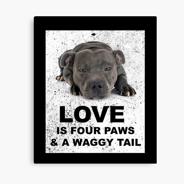 Staffordshire Bull Terrier Staffie Dog Keyring Bag Charm Gift wrapped Free P/&P