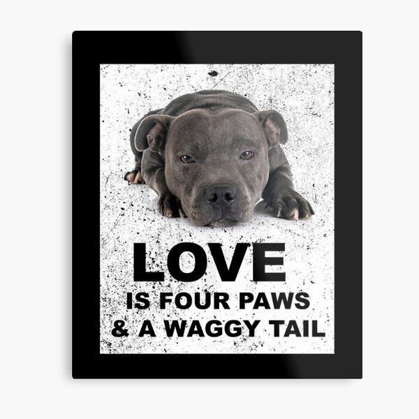 staffy lover gifts