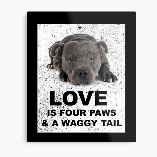 allgemein als Staffies oder Staffys bezeichnet. Dieses Top ist ideal für jeden Personalliebhaber Metallbild