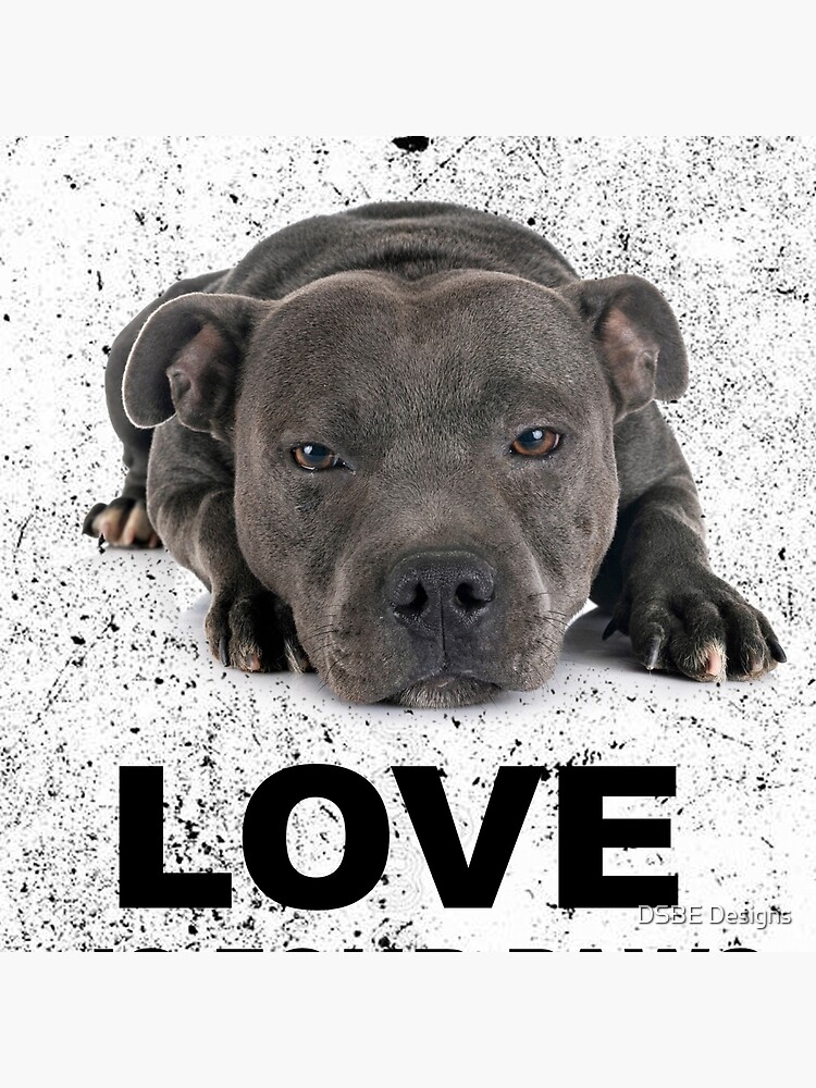 Love is 4 paws & waggy tail Blue Staffordshire Bull Terrier by lulabella666