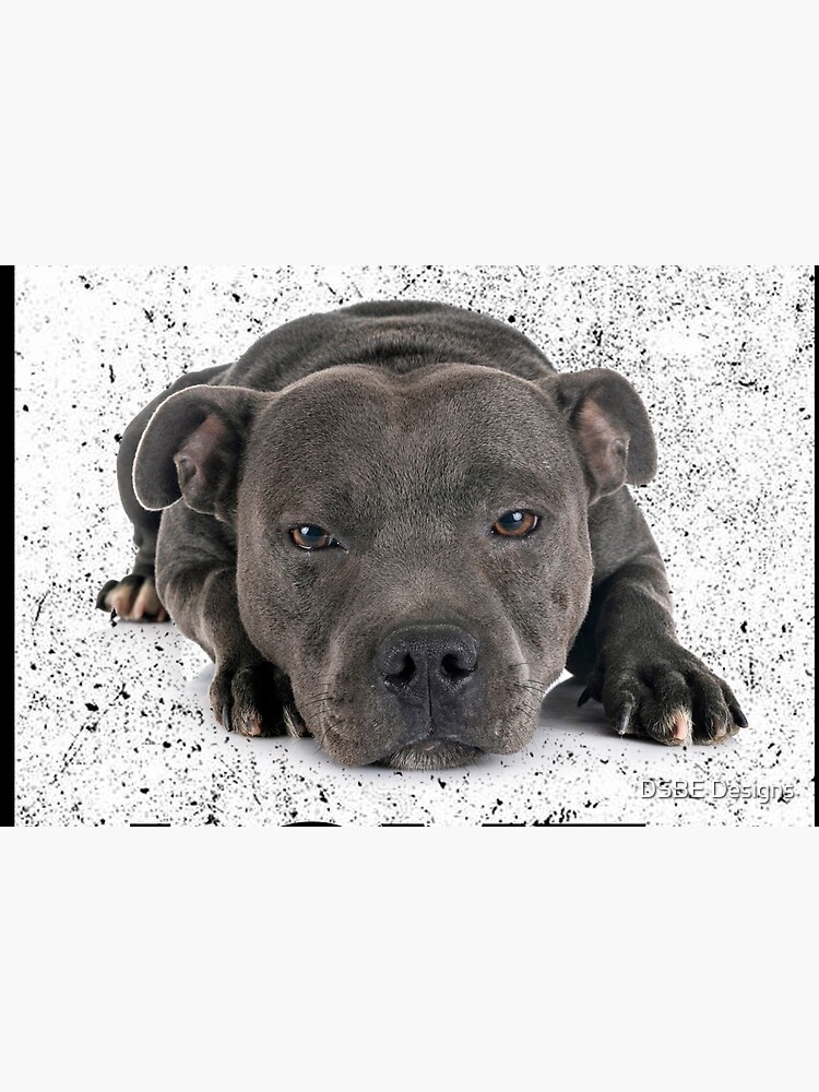 Staffy Shop 2025 www.angloamericancentre