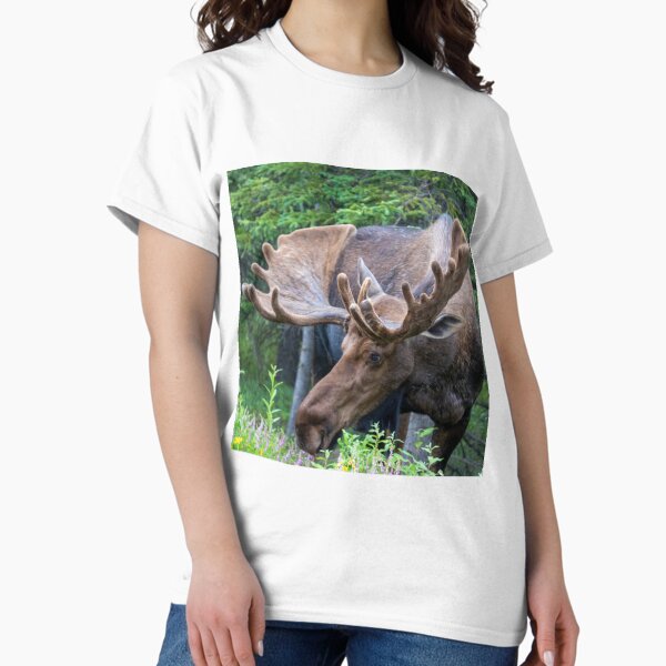 Wild Male Moose with Antlers in Alaska Classic T-Shirt