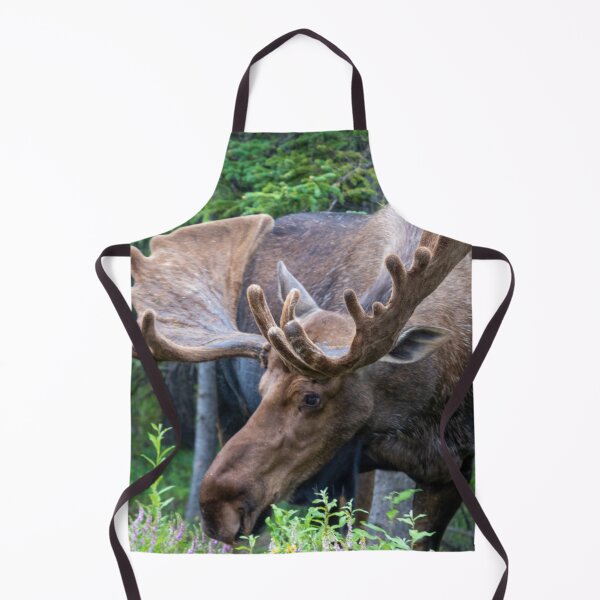 Item preview, Wild Male Moose with Antlers in Alaska designed and sold by SafariByMarisa.