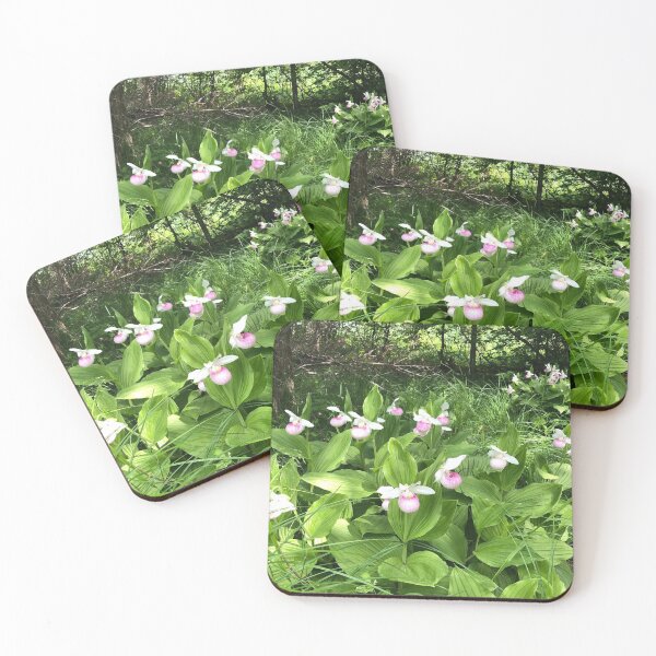 Item preview, Lady Slippers designed and sold by Jkitzes.