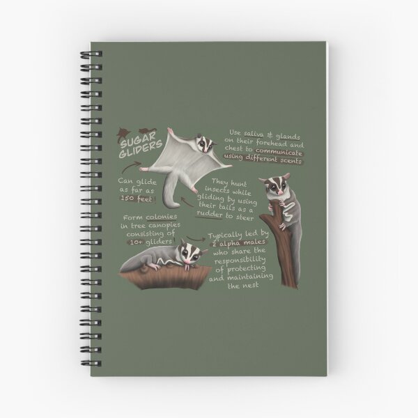 Item preview, Sugar Gliders Fun Facts designed and sold by troyanthonyart.