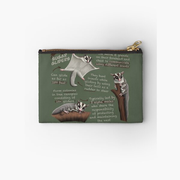 Item preview, Sugar Gliders Fun Facts designed and sold by troyanthonyart.