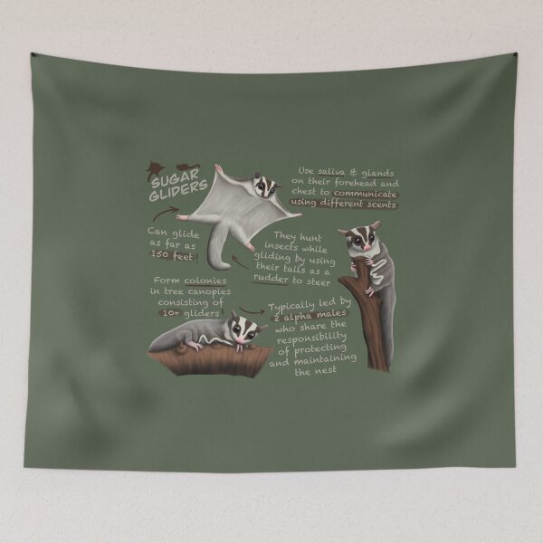 Item preview, Sugar Gliders Fun Facts designed and sold by troyanthonyart.