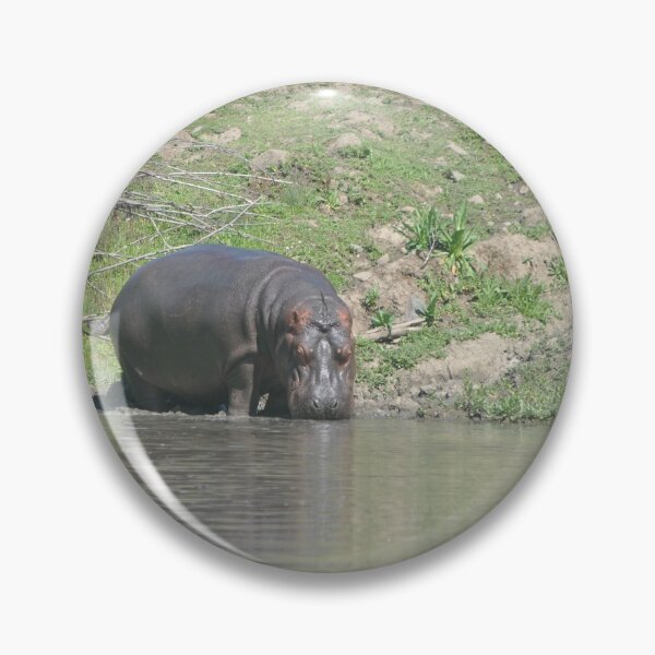 Item preview, Hippo out of Water designed and sold by Tamara McDonnell.