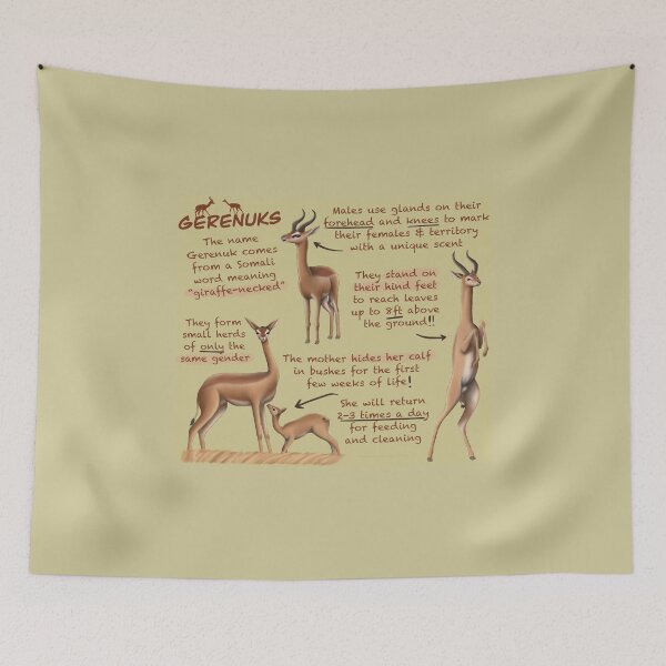 Item preview, Gerenuks Fun Facts designed and sold by troyanthonyart.