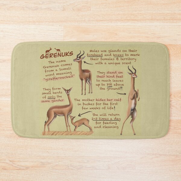Item preview, Gerenuks Fun Facts designed and sold by troyanthonyart.