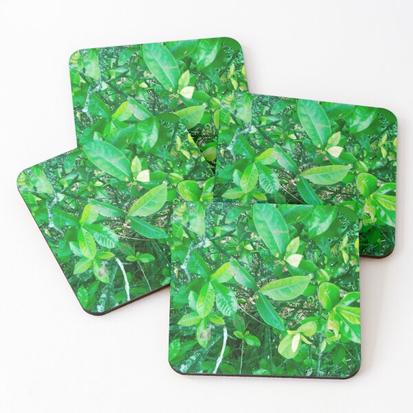 Item preview, Green leaves designed and sold by gloriasd14.