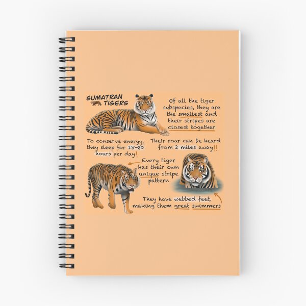 Item preview, Sumatran Tigers Fun Facts designed and sold by troyanthonyart.