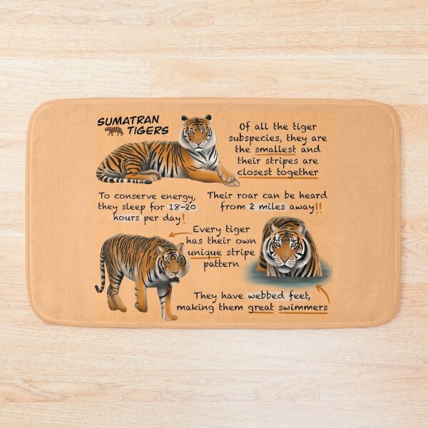 Item preview, Sumatran Tigers Fun Facts designed and sold by troyanthonyart.